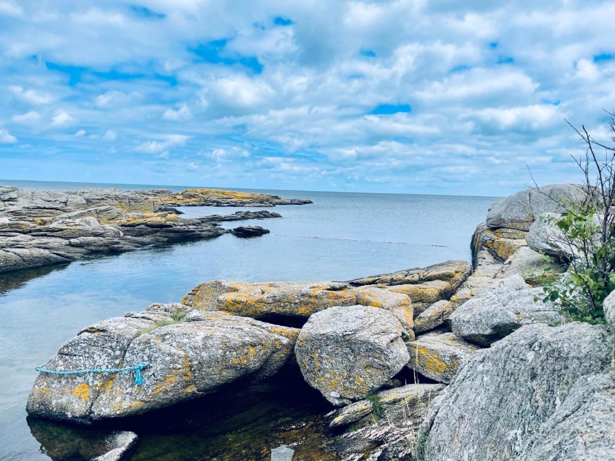 Nybygget Hus I Svaneke Taet Pa Klipper, Skov Og Hav المظهر الخارجي الصورة
